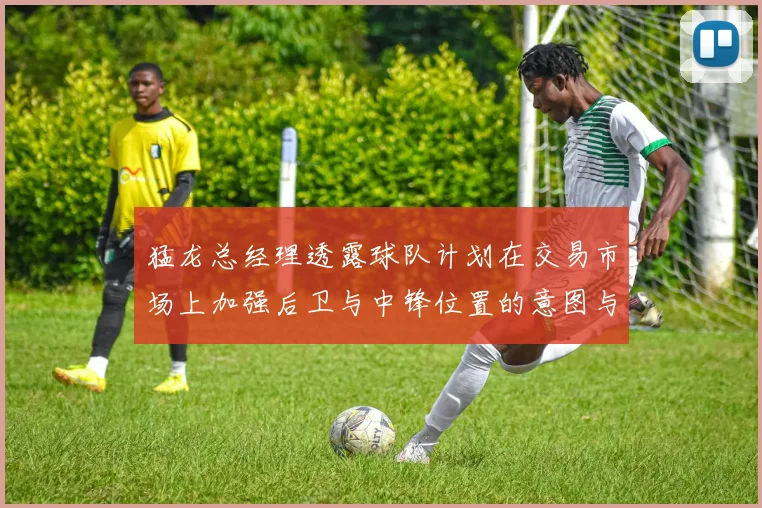 猛龙总经理透露球队计划在交易市场上加强后卫与中锋位置的意图与目标