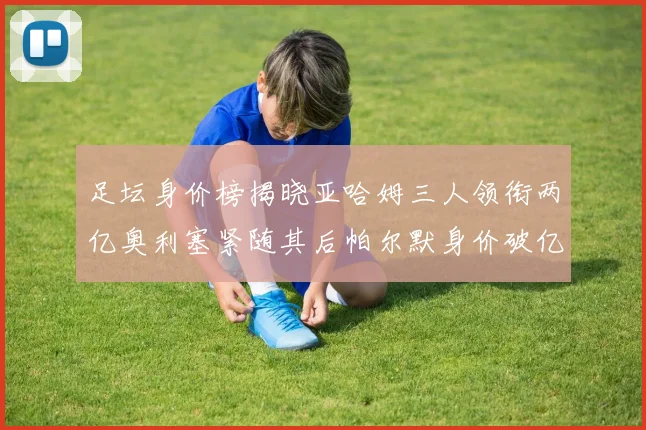 足坛身价榜揭晓亚哈姆三人领衔两亿奥利塞紧随其后帕尔默身价破亿